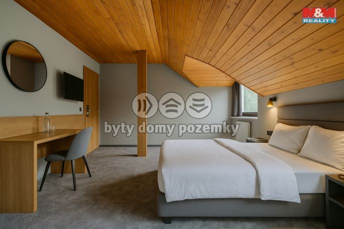 Prodej, Nájemní dům, Jáchymov