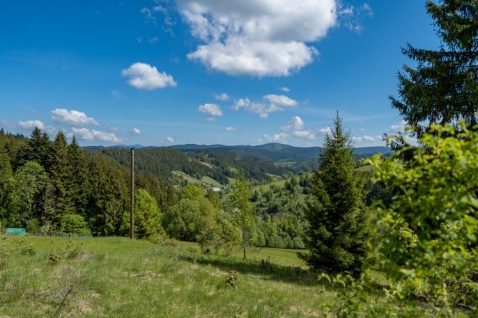 Prodej, Chalupa, Velké Karlovice