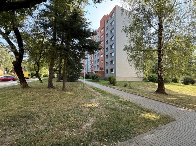 Pronájem, Byt 1+1, Karviná