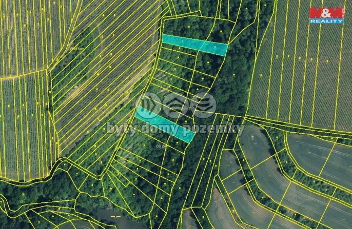 Prodej, Louka, Újezdec