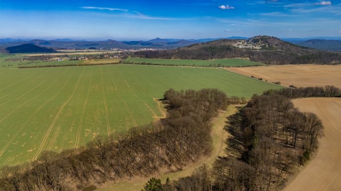 Prodej, Louka, Tachov