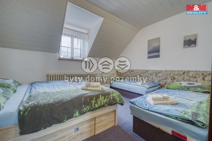 Prodej, Hotel, penzion, Železná Ruda