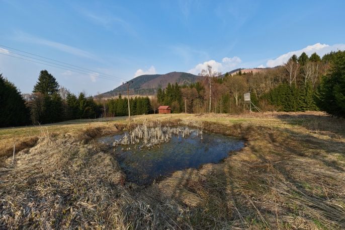 Prodej, Ostatní, Královec