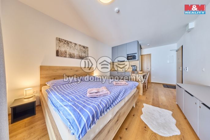 Prodej, Byt 1+kk, Janské Lázně