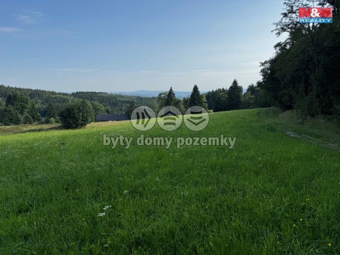 Prodej, Louka, Kořenov