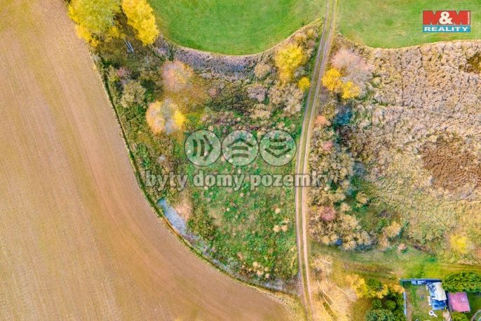 Prodej, Louka, Vysoká Libyně