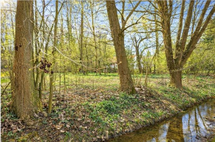 Prodej, Zahrada, Kořenice