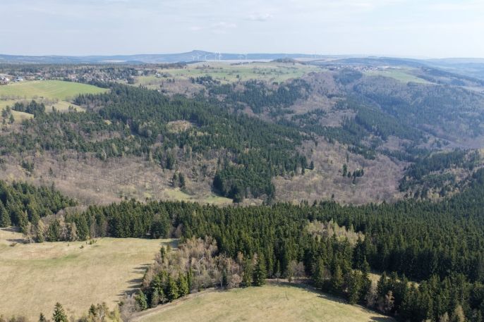 Prodej, Les, Měděnec