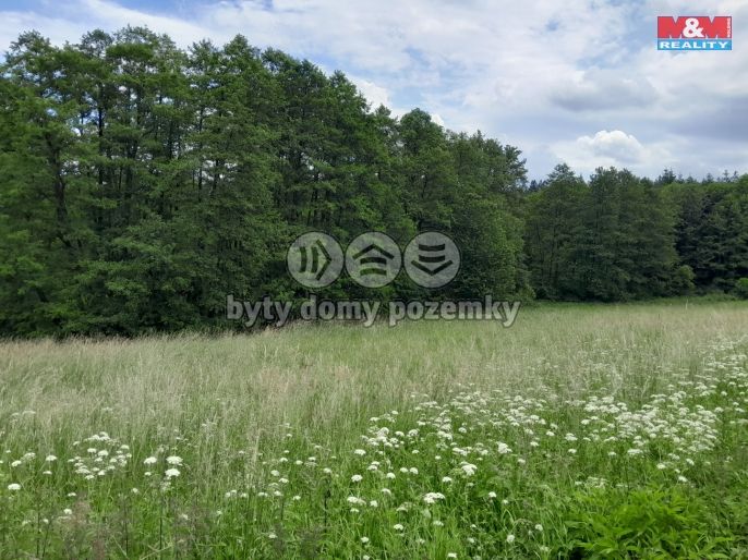 Prodej, Louka, Oselce