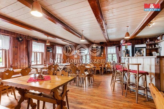 Prodej, Hotel, penzion, Rokytnice nad Jizerou