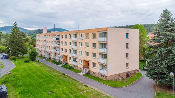 Prodej, Byt 1+1, Cvikov