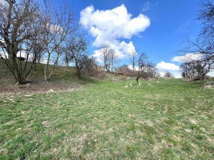 Prodej, Zahrada, Zlín