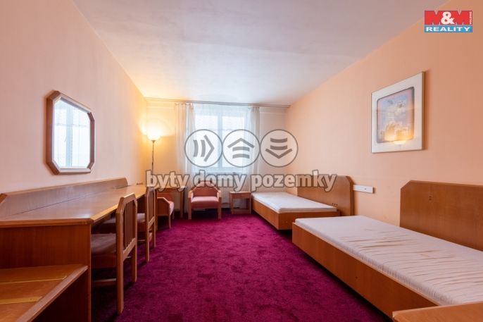 Prodej, Hotel, penzion, Rovná