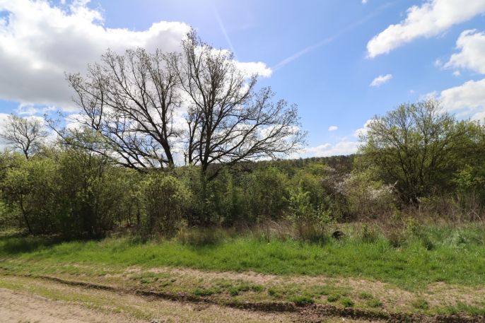 Prodej, Rodinný dům, Peruc