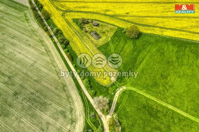 Prodej, Pole, Ostrov u Bezdružic