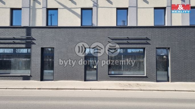 Pronájem, Obchod a služby, Český Těšín