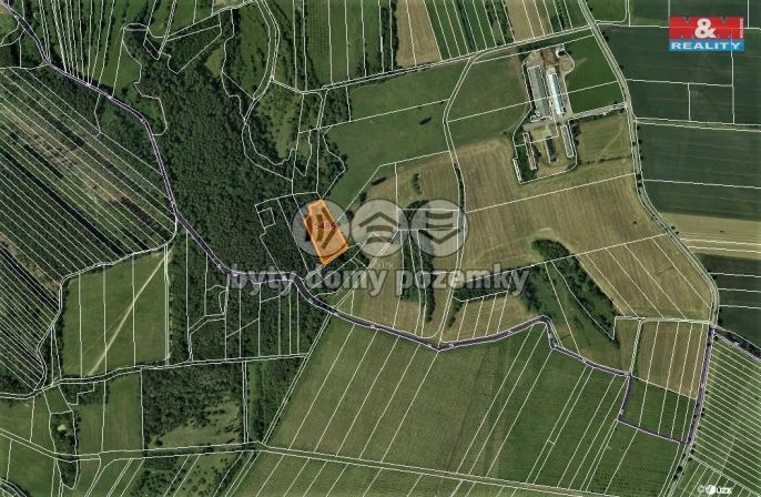 Prodej, Louka, Borotín