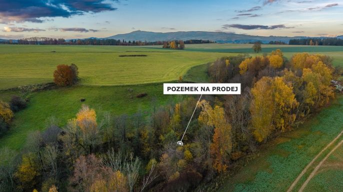 Prodej, Louka, Bílá