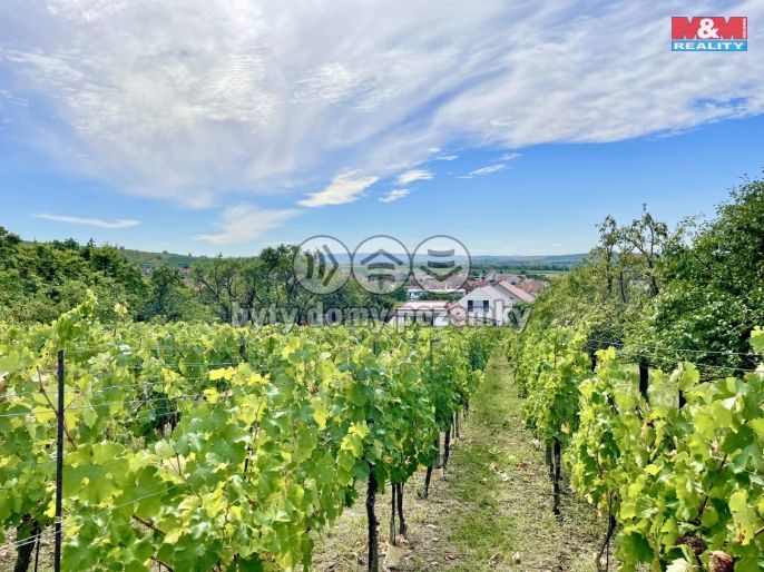 Prodej, Vinný sklep, Perná