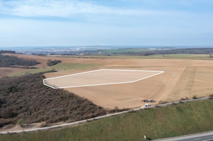 Prodej, Pole, Starý Plzenec