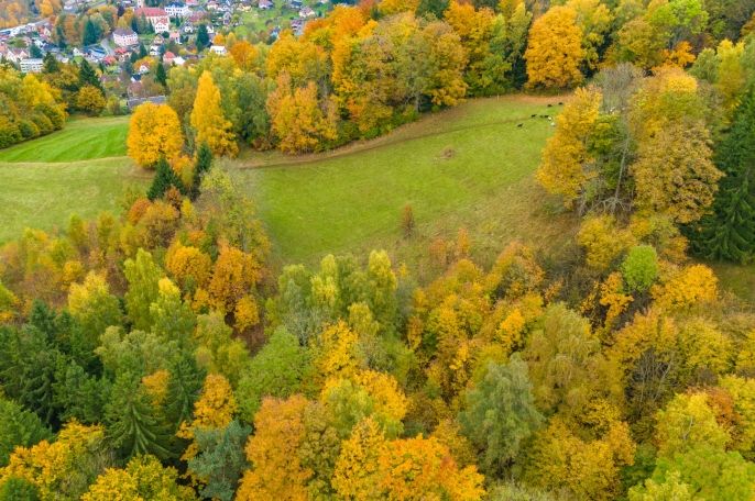 Prodej, Louka, Tanvald