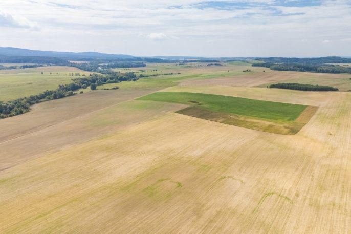Prodej, Pole, Hlohovice