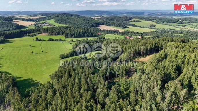 Prodej, Les, Petrovice u Sušice