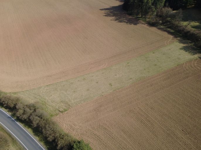 Prodej, Pole, Drevníky