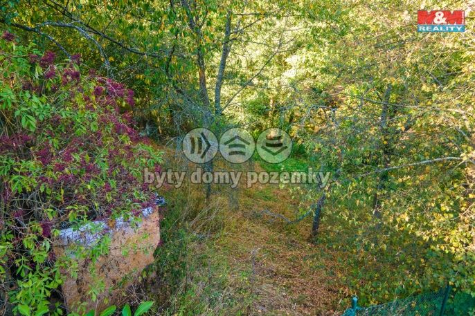 Prodej, Pozemek k bydlení, Plasy