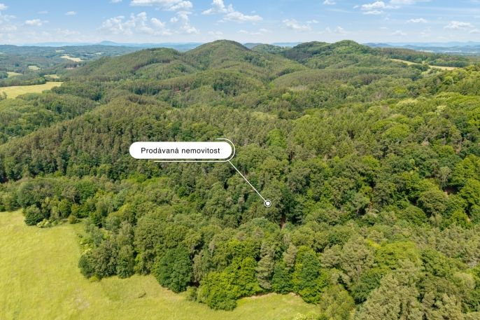 Prodej, Pastvina, Nosálov
