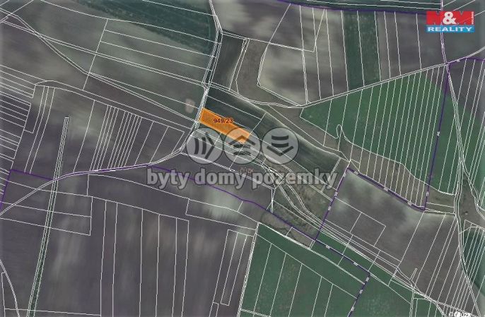 Prodej, Les, Koštice