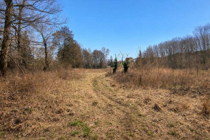 Prodej, Pozemek k bydlení, Velemín