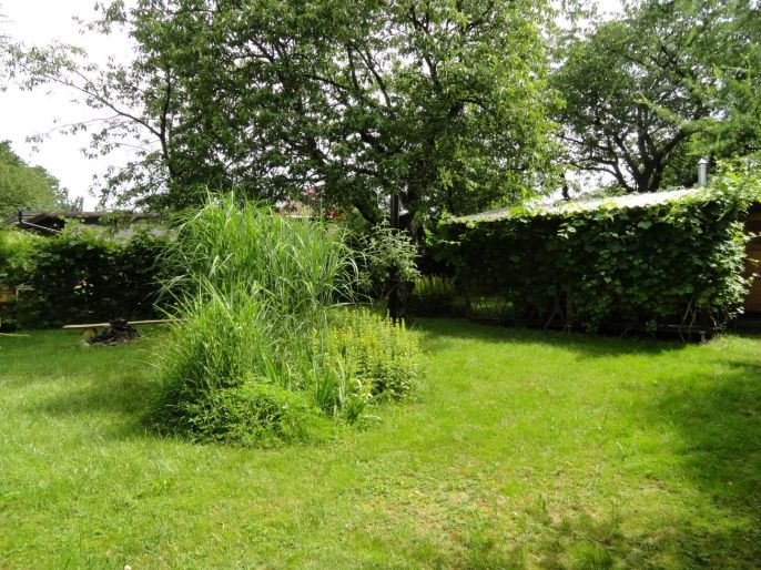 Pronájem, Chata, Heřmanův Městec