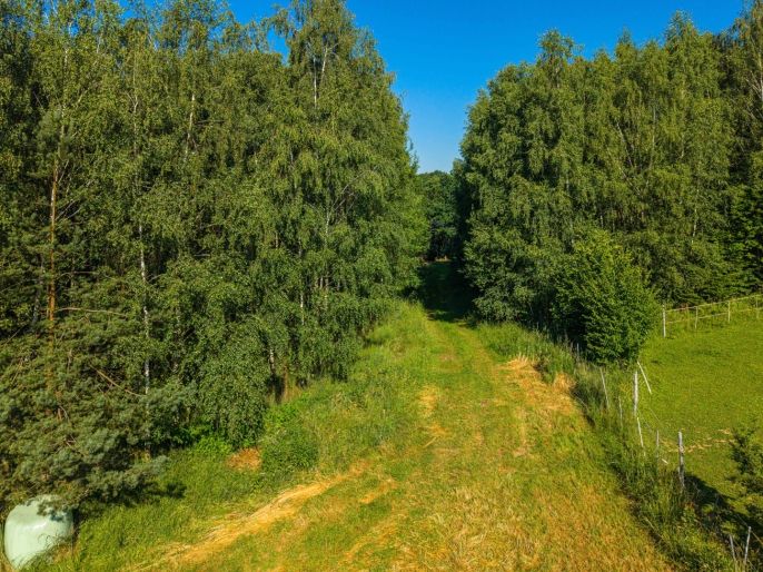Prodej, Louka, Petrovice u Karviné