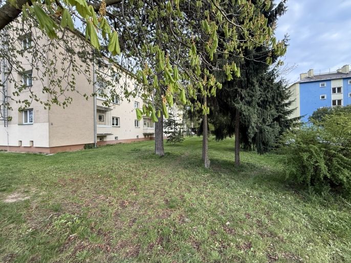 Pronájem, Byt 3+1, Ostrava