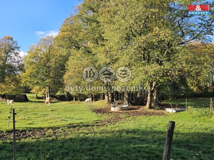 Prodej, Ostatní, Zlaté Hory