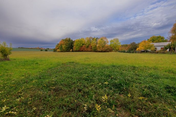 Prodej, Louka, Lužany