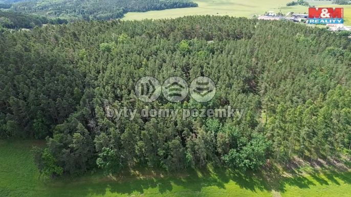 Prodej, Les, Chotilsko