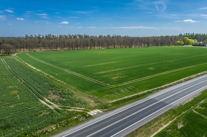 Prodej, Pole, Čistá