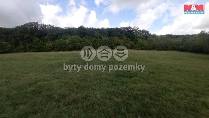 Prodej, Louka, Jenčice