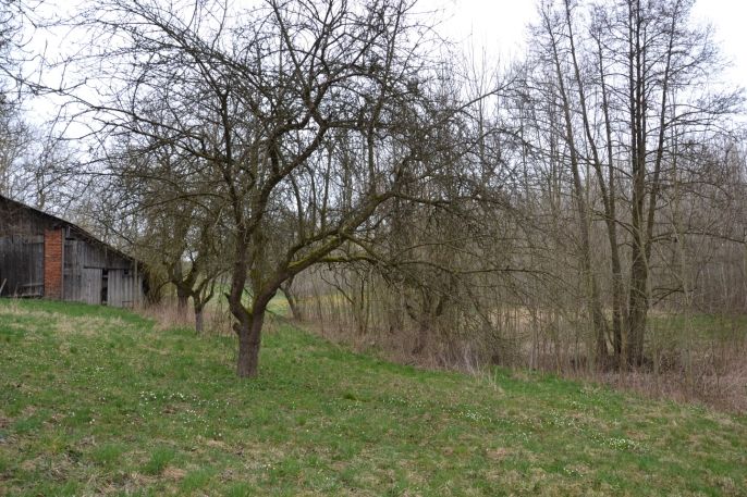 Prodej, Rodinný dům, Bohdašín