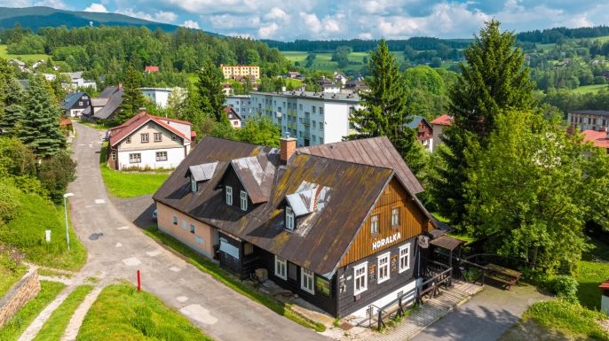 Prodej, Hotel, penzion, Rokytnice nad Jizerou