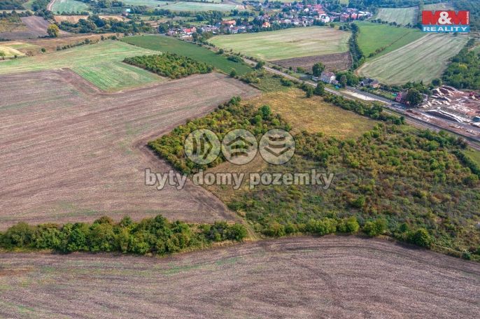 Prodej, Ovocný sad, Chotiměř