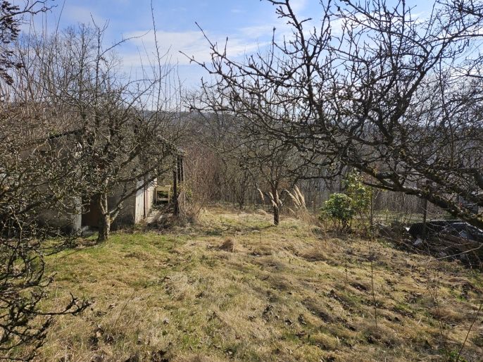 Prodej, Zahrada, Šternberk