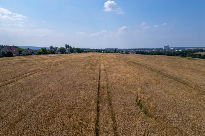 Prodej, Pole, Hlučín