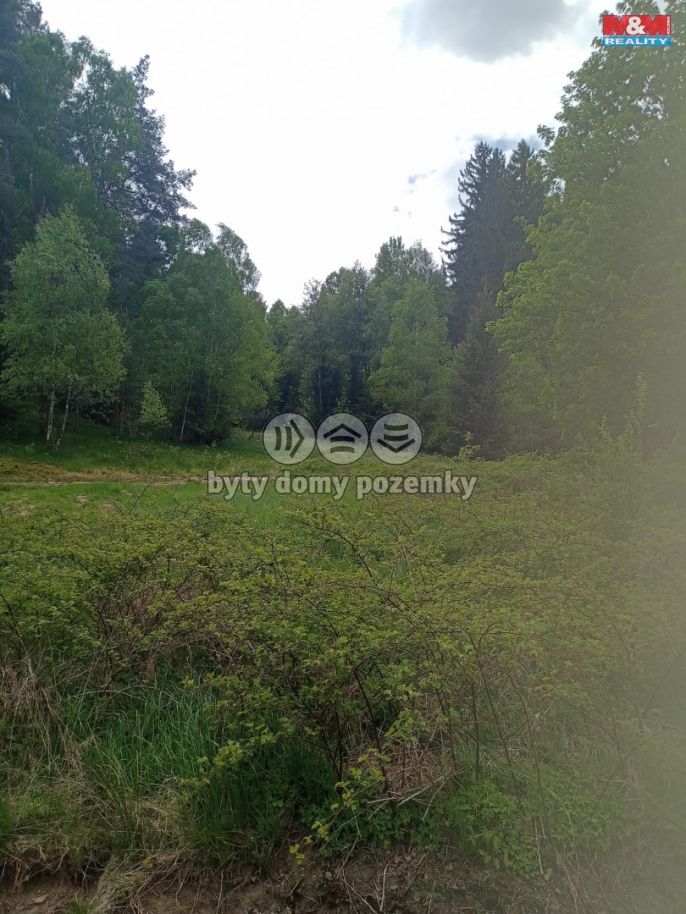 Prodej, Les, Dlouhý Most