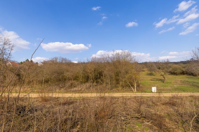 Prodej, Ovocný sad, Želešice