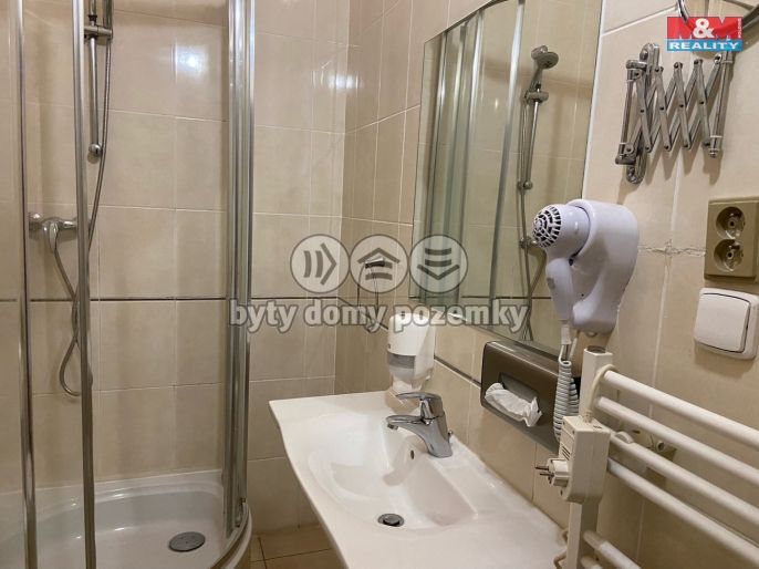 Pronájem, Byt 4+kk, Plzeň