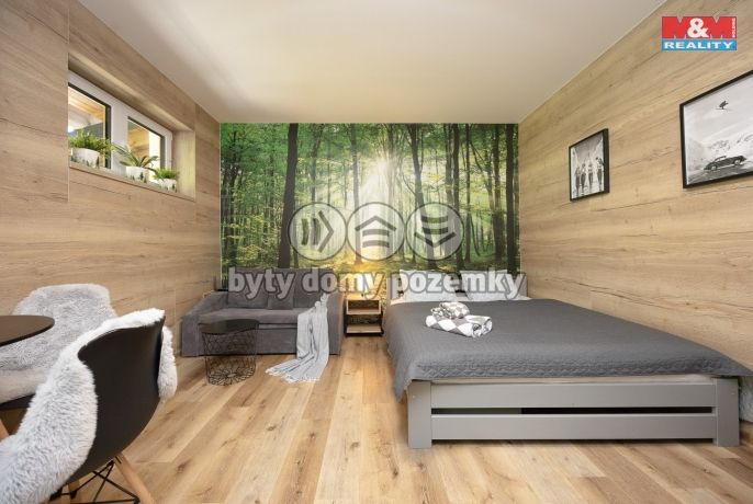 Prodej, Byt 1+kk, Vrbno pod Pradědem