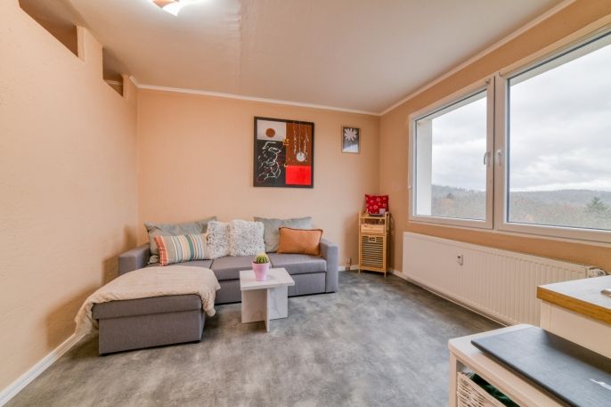 Prodej, Byt 1+1, Planá